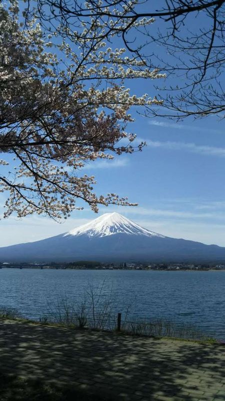 Kanagawa Private Tour - I like Mt Fuji in April.