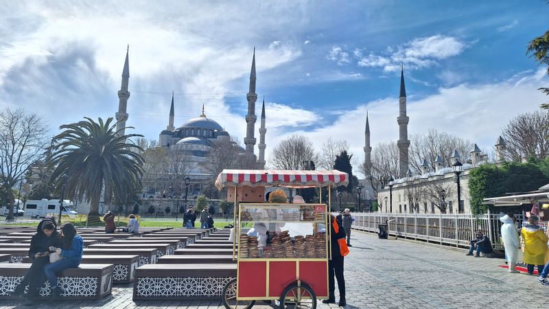 Istanbul Private Tour - Blue Mosque