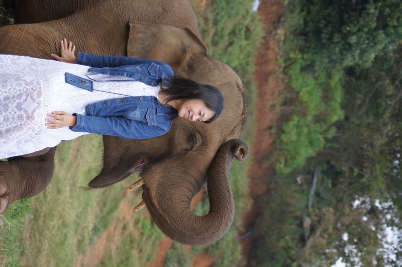 Chiang Mai Private Tour - Pure love with the elephant.