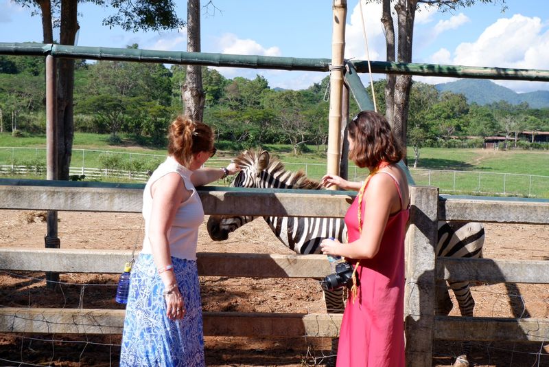 Chiang Mai Private Tour - A mini zoo at Singha Park in Chiang Rai.