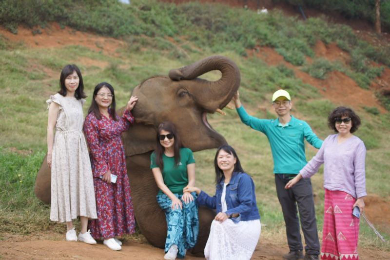 Chiang Mai Private Tour - Small words, big smile at Elefin Farm & Cafe.