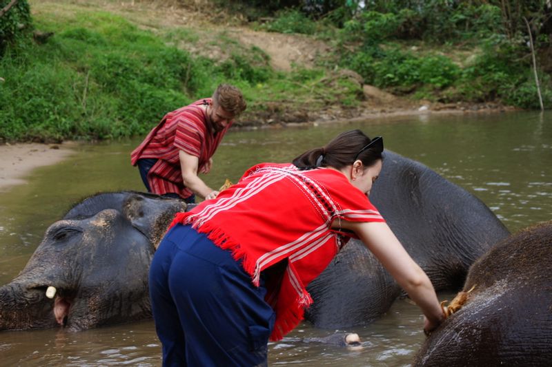 Chiang Mai Private Tour - Bath Time with Elephants.