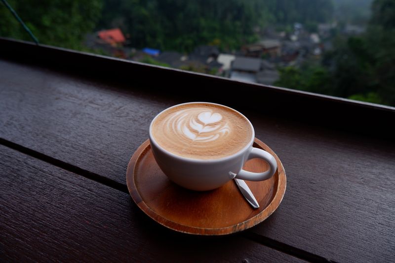 Chiang Mai Private Tour - Hot Latte !! At Mae Kampong Village. 