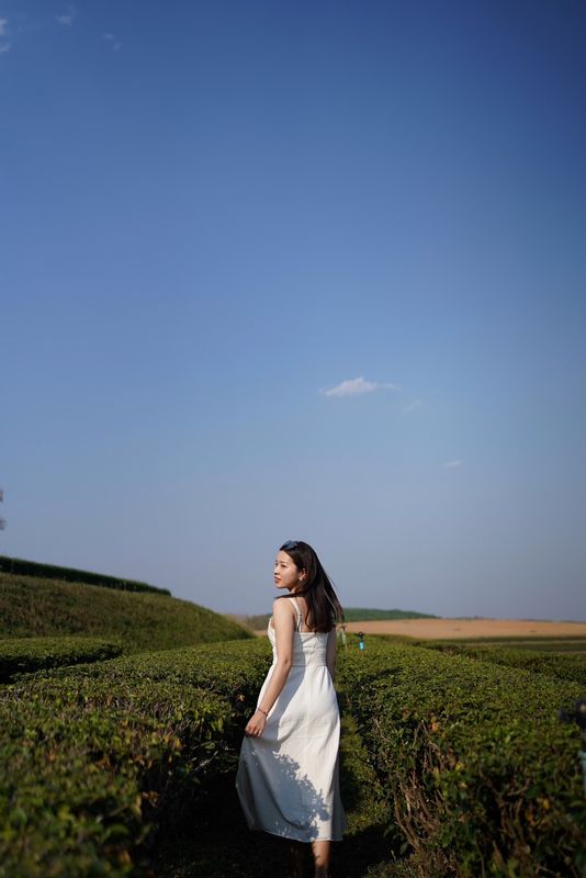 Chiang Mai Private Tour - At the tea plantations. 