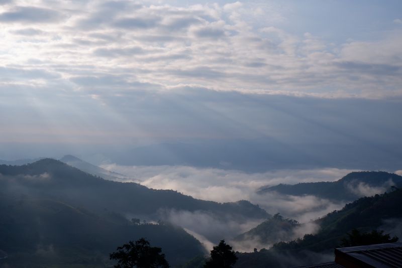 Chiang Mai Private Tour - At Doi Chang, Chiang Rai. 