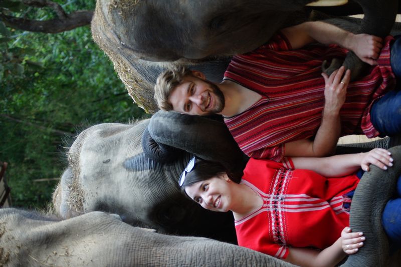 Chiang Mai Private Tour - Elephants make your soul happy.