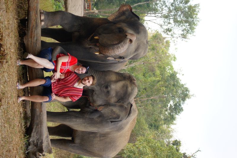 Chiang Mai Private Tour - Elephant experience in Chiang mai. 