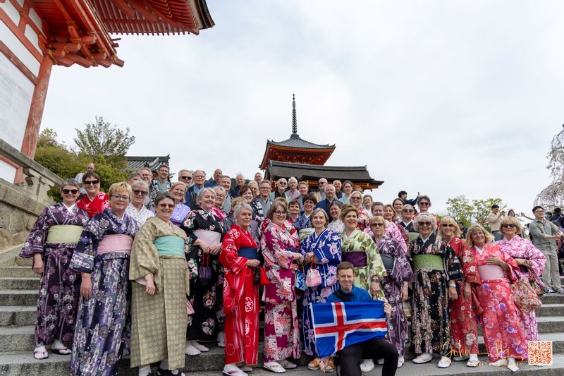 Tokyo Private Tour - Me and Iceland Guests / Kyoto