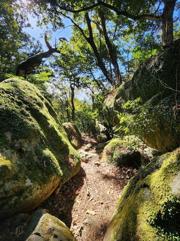 Shimizu Private Tour - hiking