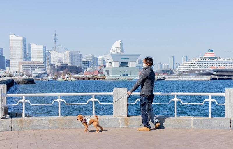 Kanagawa Private Tour - view MINATOMIRAI