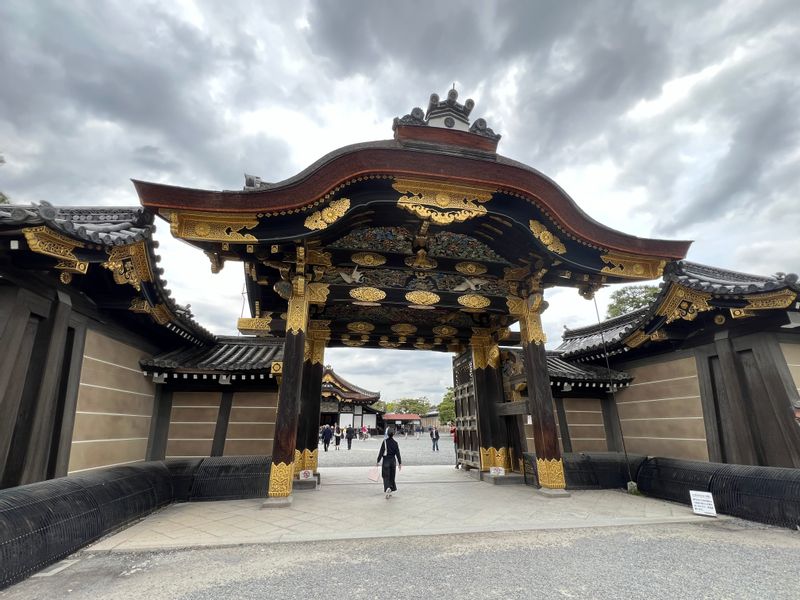 Kyoto Private Tour - Nijo Castle