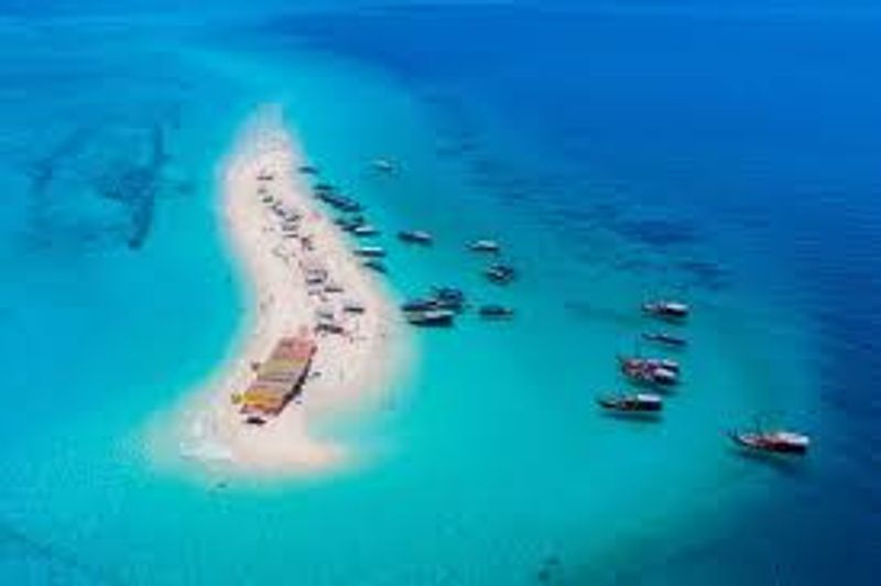 Zanzibar Private Tour - From sunrise strolls to sunset hues, every moment by the sea is a treasure