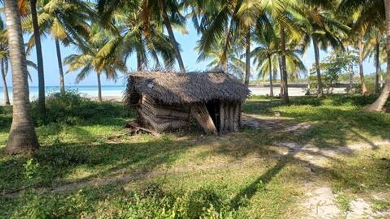 Zanzibar Private Tour - The grass hut is beautiful surrounded by coconut trees - the island of Uzi