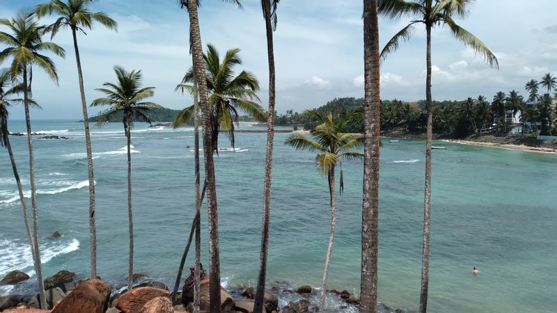 Galle Private Tour - Mirissa 