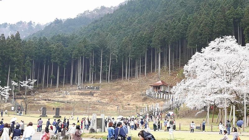 Gifu Private Tour - usuzumi park motosu gifu ken