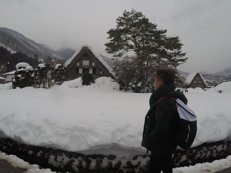 Gifu Private Tour - shirakawa-go gifu ken