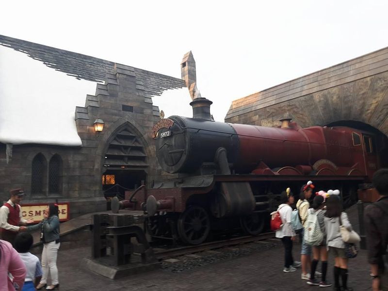 Gifu Private Tour - universal studio japan