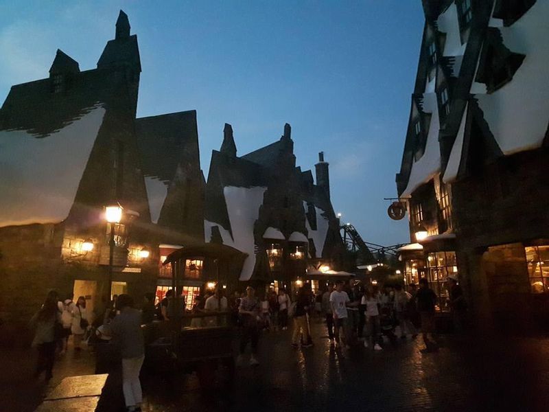 Gifu Private Tour - harry potter USJ