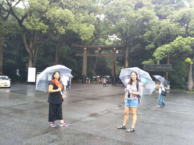 Saitama Private Tour - Meiji Jingu Shrine, Harajuku, Tokyo