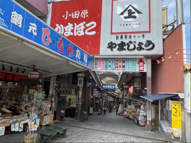 Shizuoka Private Tour - Heiwa Dori Shopping Arcade