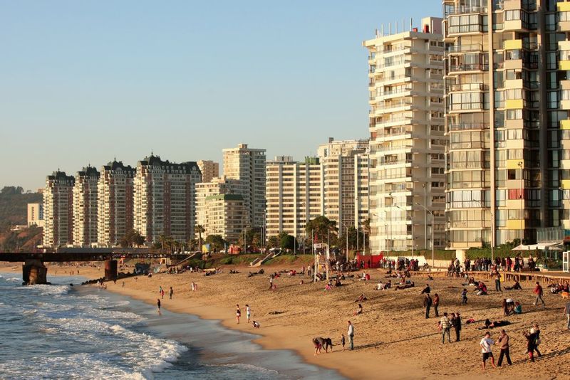 Region Metropolitana Private Tour - Viña del Mar Seashore