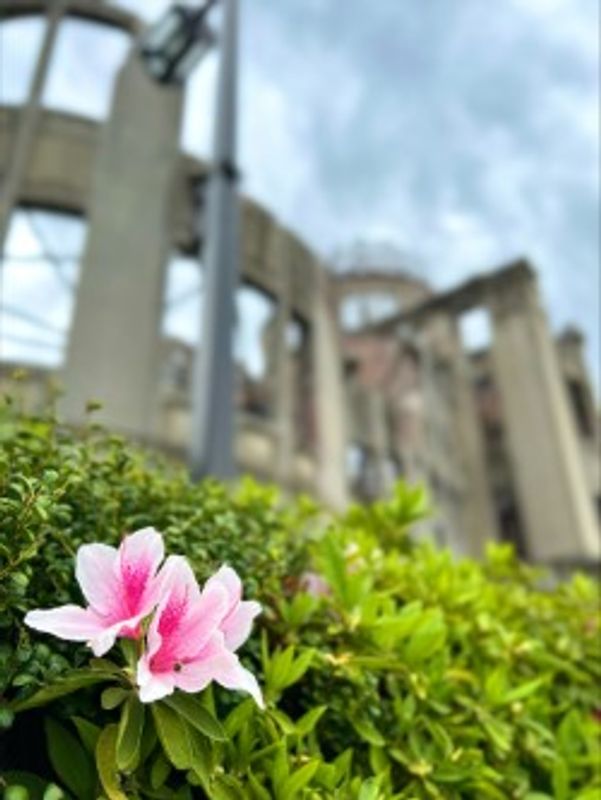 Hiroshima Private Tour - Peace MemoriaPark