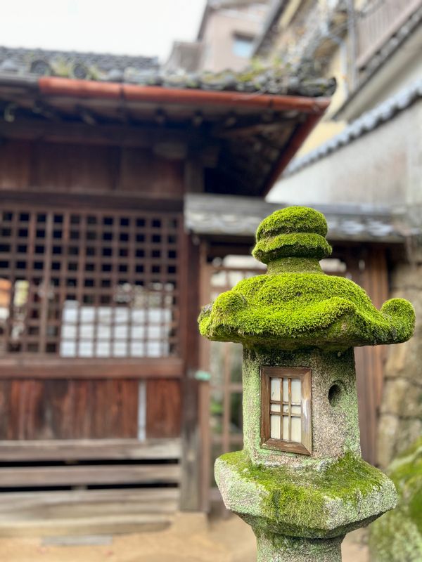 Hiroshima Private Tour - Miyajima