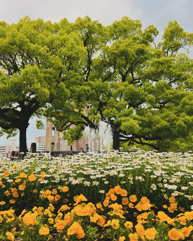 Hiroshima Private Tour - Peace Memorial Park