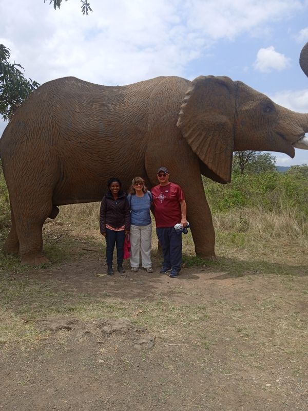 Arusha Private Tour - Day trip tour in Arusha National Park