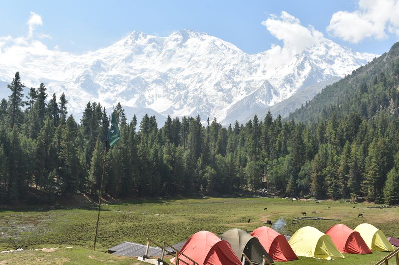 Lahore Private Tour - Fairy Meadows, North Pakistan