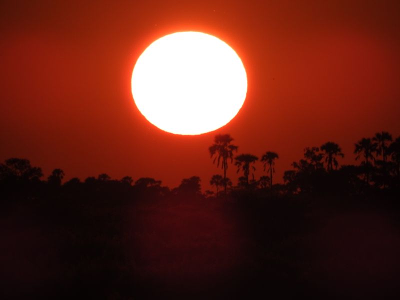 Ngamiland Private Tour - Sunset in the Okavango delta