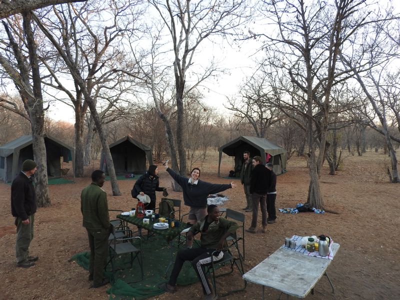 Ngamiland Private Tour - camping in chobe national park