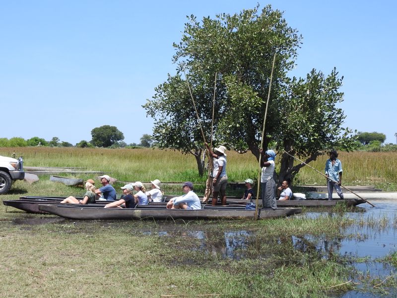 Ngamiland Private Tour - Mokoro - okavango Delta (Botswana)