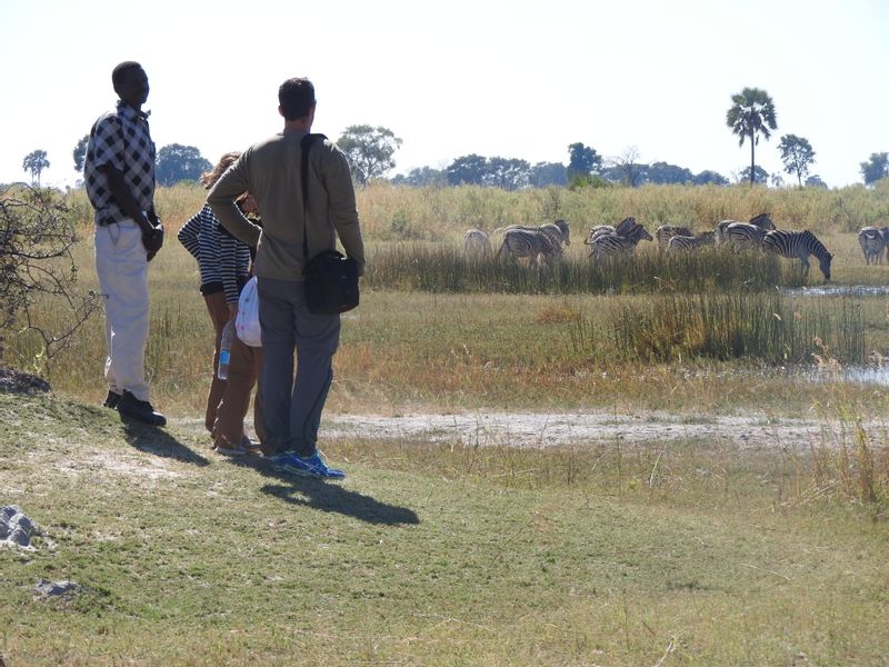 Ngamiland Private Tour - A walk in the delta