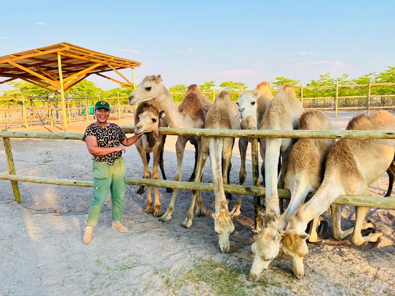 Ngamiland Private Tour - camel interaction