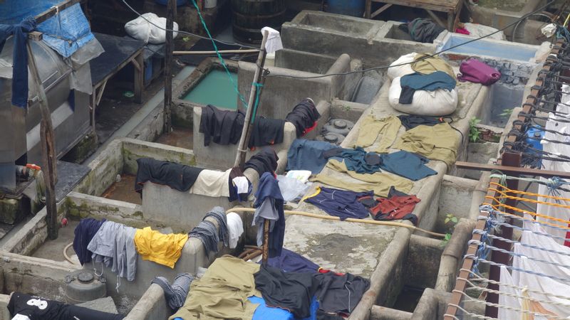 Maharashtra Private Tour - World Largest Washing Laundry 