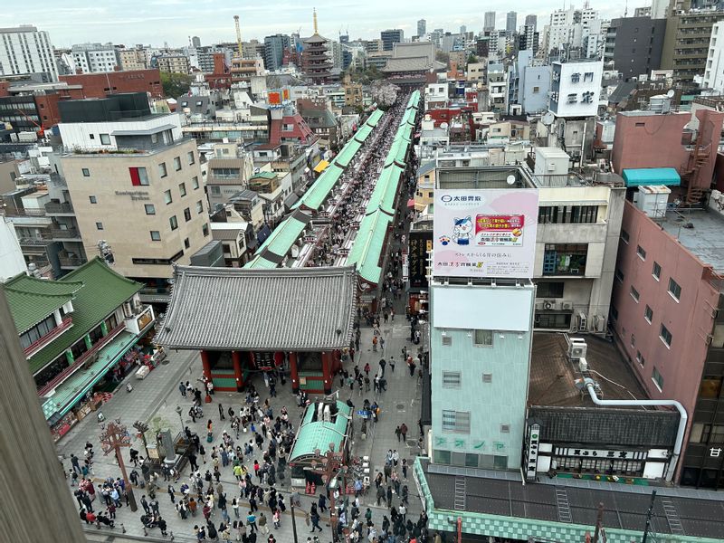 Tokyo Private Tour - Asakusa Sensoji-Temple