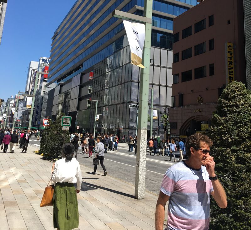 Tokyo Private Tour - Ginza Street