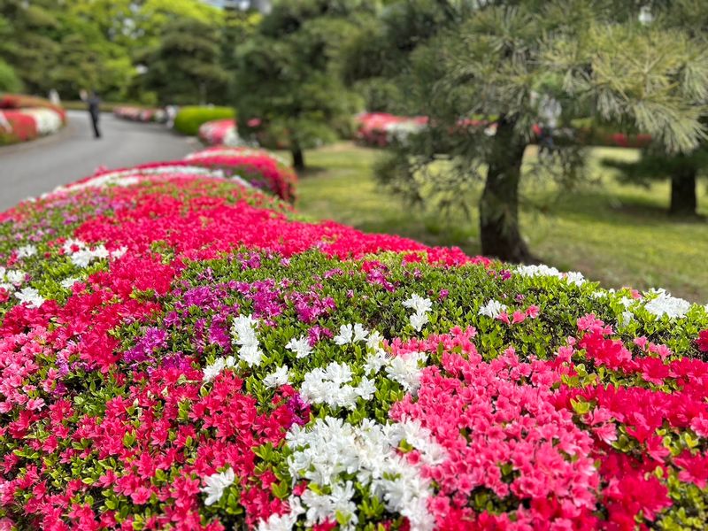 Tokyo Private Tour - Imperial Palace East Garden