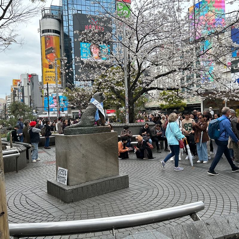 Tokyo Private Tour - Statue of Hachiko