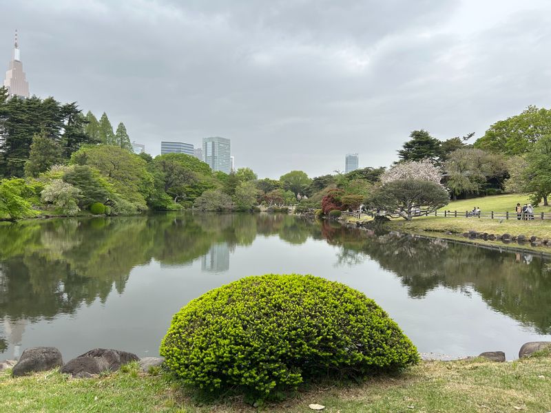 Tokyo Private Tour - Shinjuku Gyoen Park