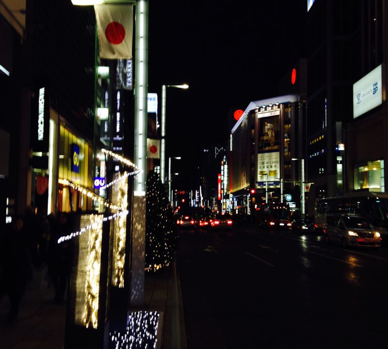 Tokyo Private Tour - Ginza Street at Night