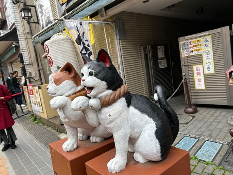 Tokyo Private Tour - Lucky Beckoning Cat