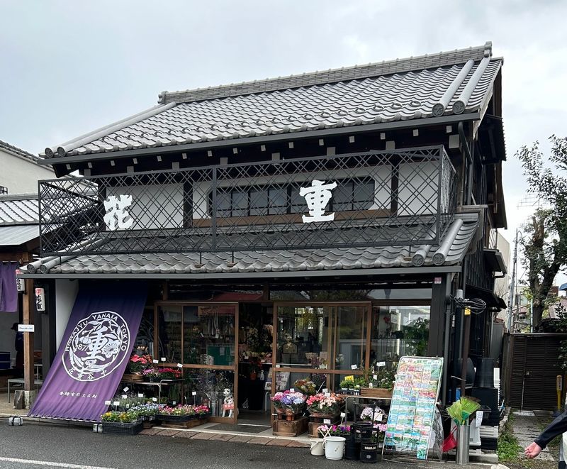 Tokyo Private Tour - Cafe in Yanaka