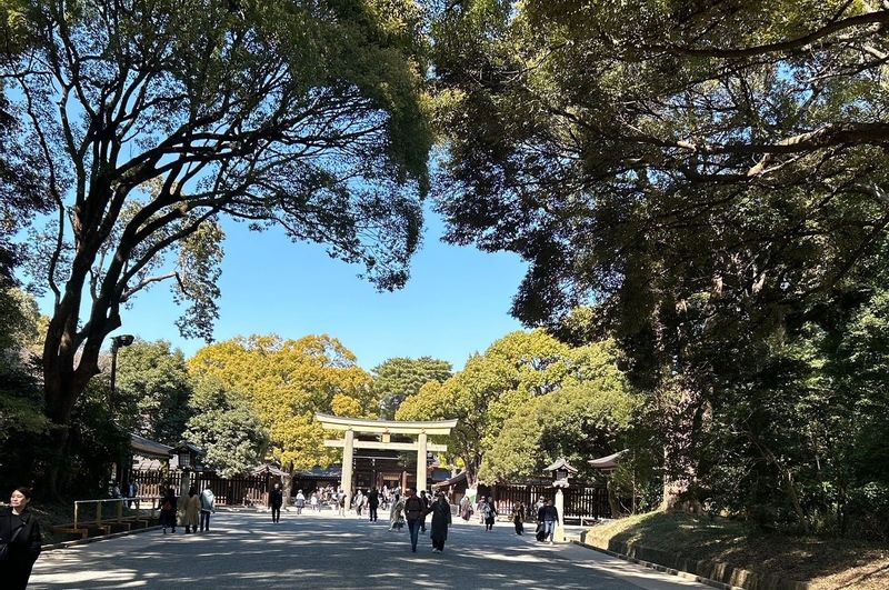 Tokyo Private Tour - Meiji Shrine Approach way