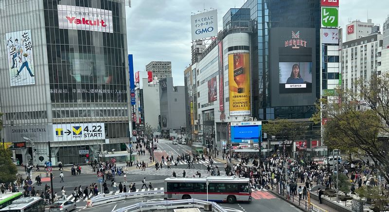 Tokyo Private Tour - The Shibuya Scramble Crossing