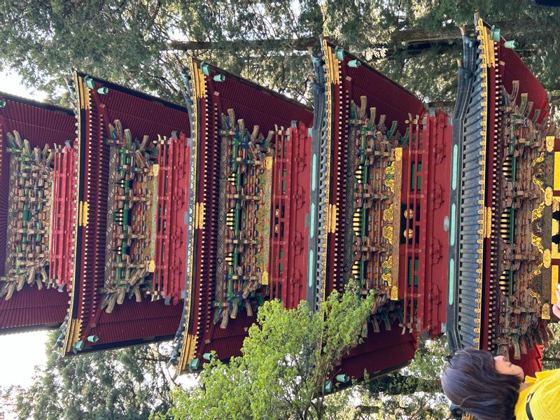 Tokyo Private Tour - Five-Story Pagoda