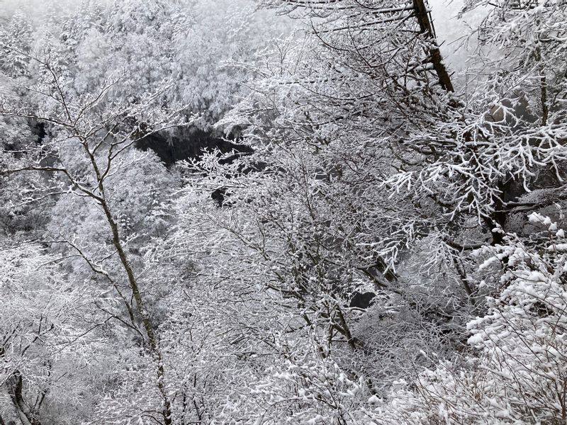 Tokyo Private Tour - Snowy Iroha Slope