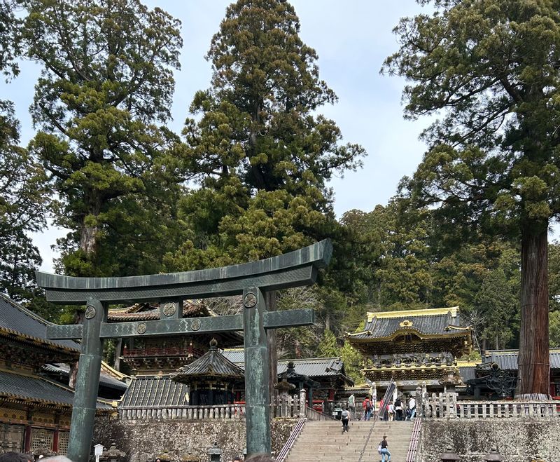 Tokyo Private Tour - Torii gate Nikko Toshogu Shrine