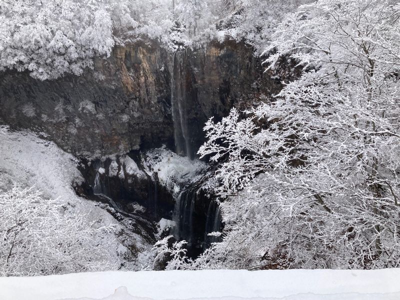 Tokyo Private Tour - Snow-covered Kegon Falls